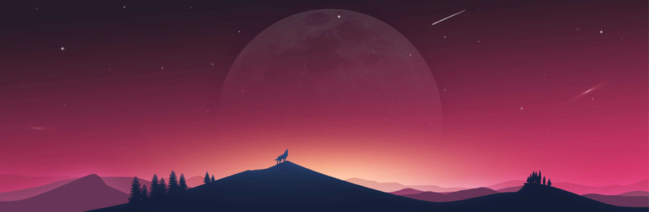 woouser Cover Image